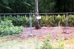 Dump Trucks Hire Guildford